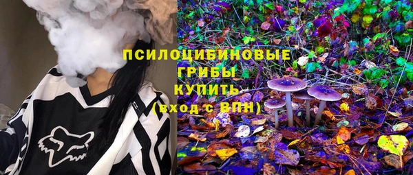 ПСИЛОЦИБИНОВЫЕ ГРИБЫ Алексеевка