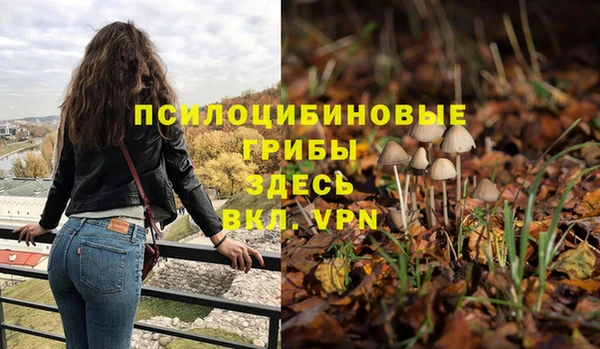 ПСИЛОЦИБИНОВЫЕ ГРИБЫ Алзамай
